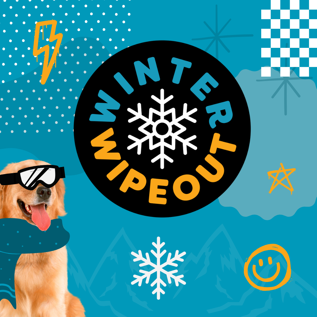 Winter Wipeout logo with golden retriever wearing some ski googles, and different winter inspired graphics in the background, like a snow flake, mountain range, and white dots.