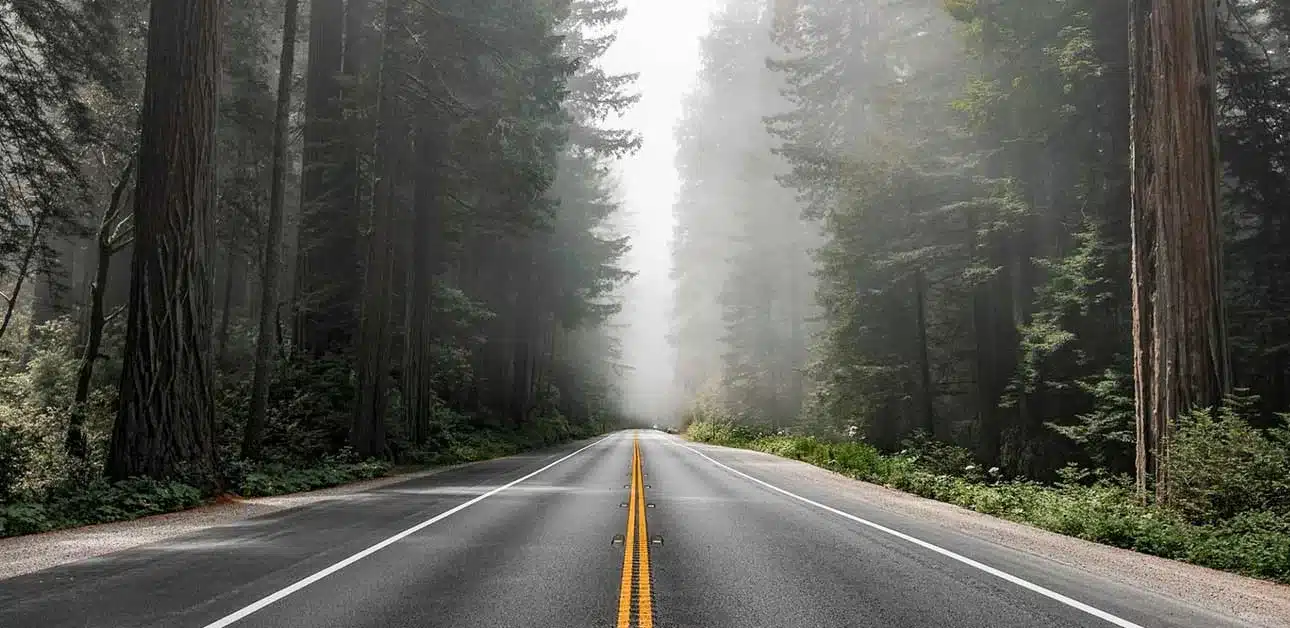 Achievement-Addiction Long road in the forest