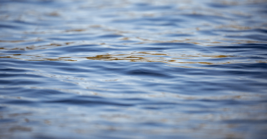 CrewLAB Partners with Rowing Canada to Revolutionize Athlete Development Systems